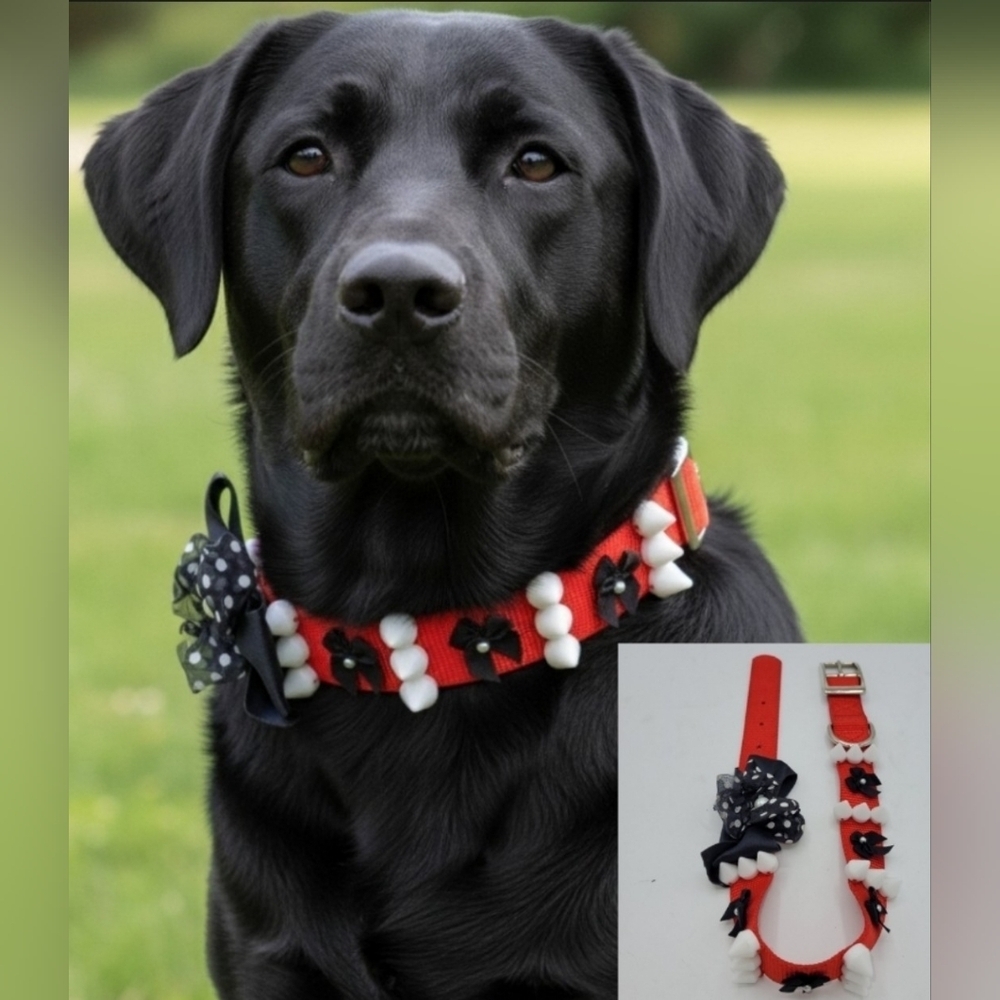 Dog Collar Black Red White Bow Pearls and Spikes